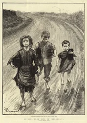 Études de la vie en Irlande, VI